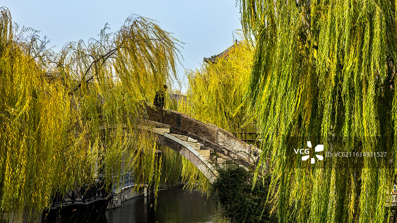 明水古城：古城垂落一袭青丝，秋柳在石桥水影间轻摇，将游人引入半城诗意的清凉。图片素材