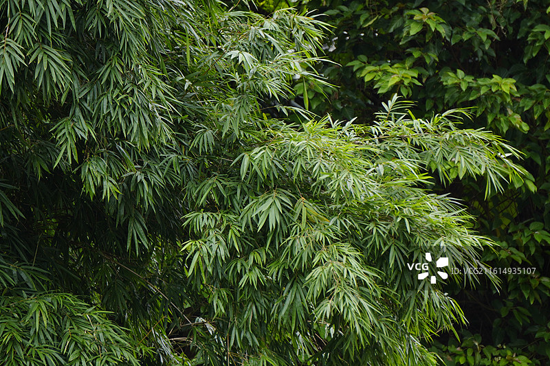 华陀山公园周边风物图片素材