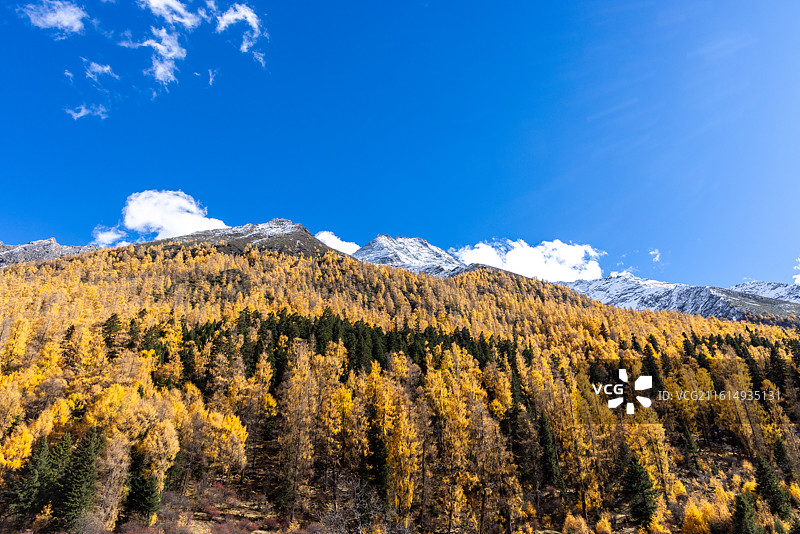 四川阿坝理小路大二普营地雪山秋景风光图片素材