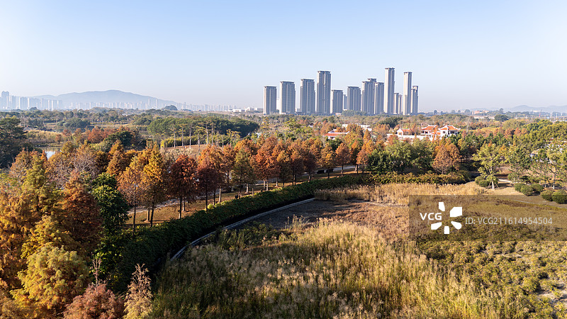 福建省厦门市马銮湾双溪湿地公园景观图片素材