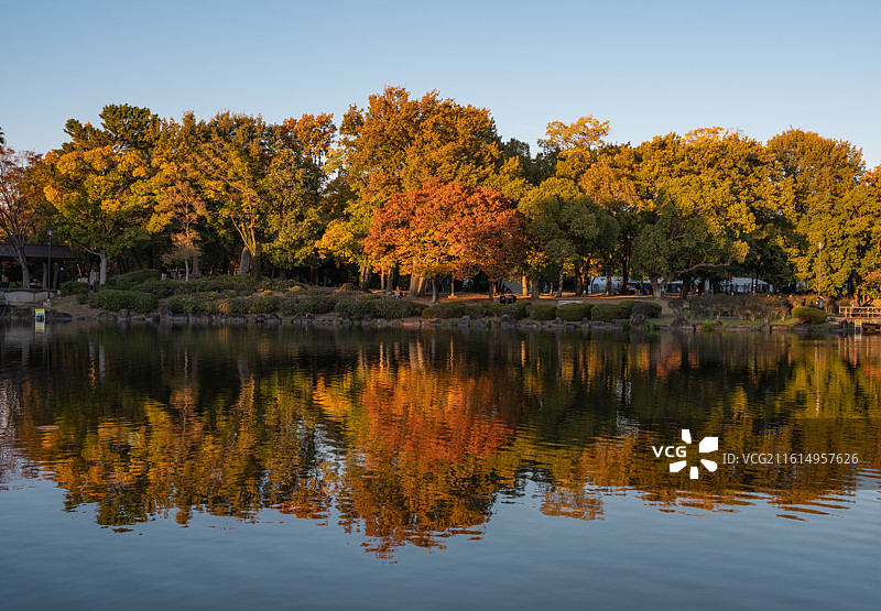 日本大阪府堺市大仙公园秋色图片素材