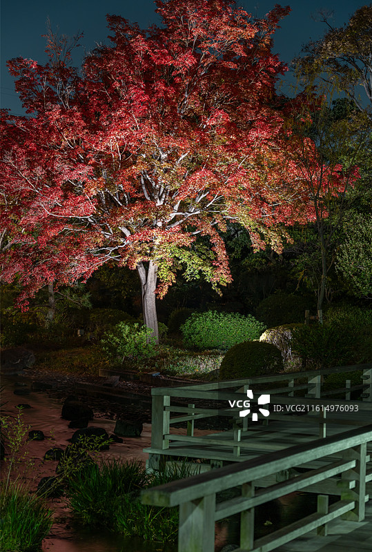 日本大阪府堺市大仙公园秋色图片素材