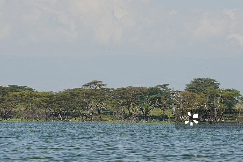 纳库鲁街景图片素材