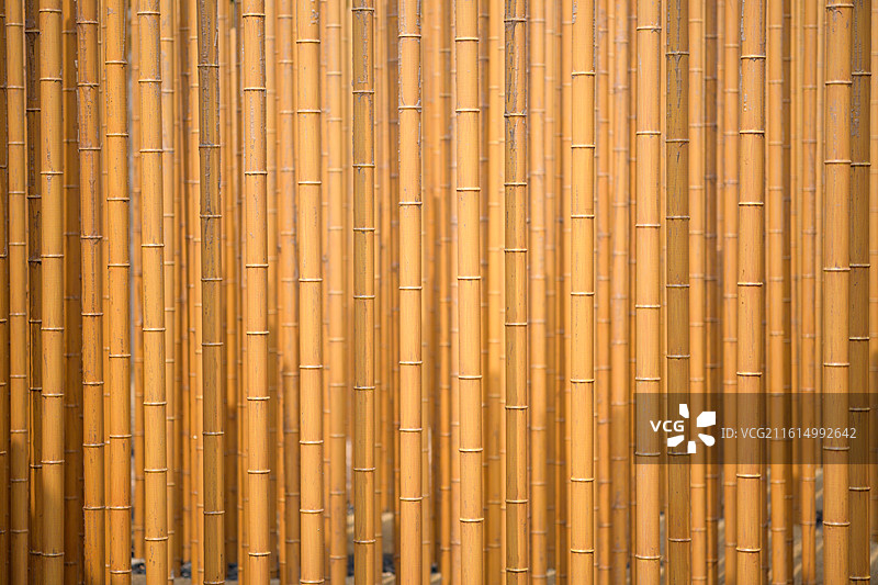 竹林竹竿园艺艺术图片素材