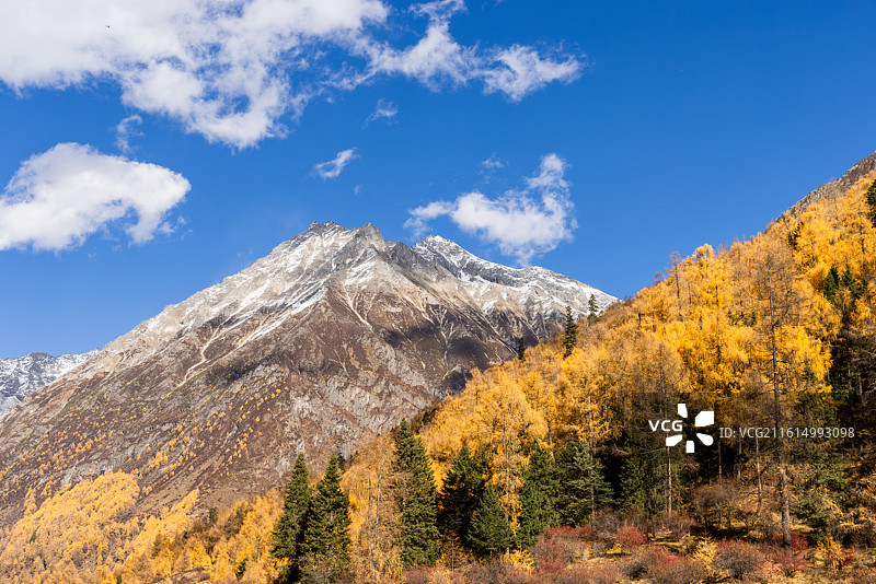 四川阿坝理小路大二普营地雪山秋景风光图片素材