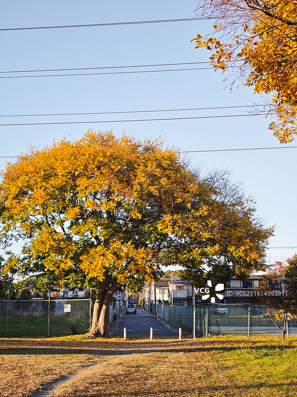 日本大阪府堺市大仙公园图片素材