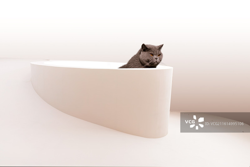 三维图形，展台图片素材