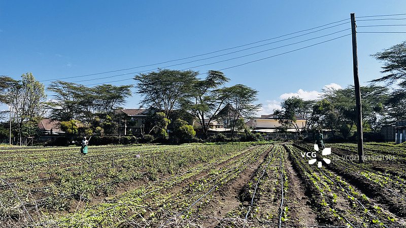 纳库鲁街景图片素材