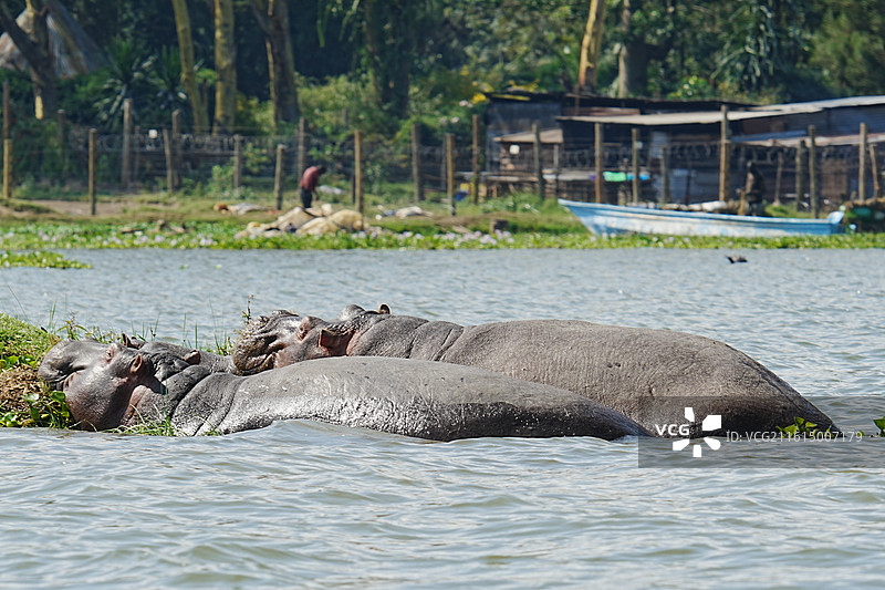 纳库鲁街景图片素材