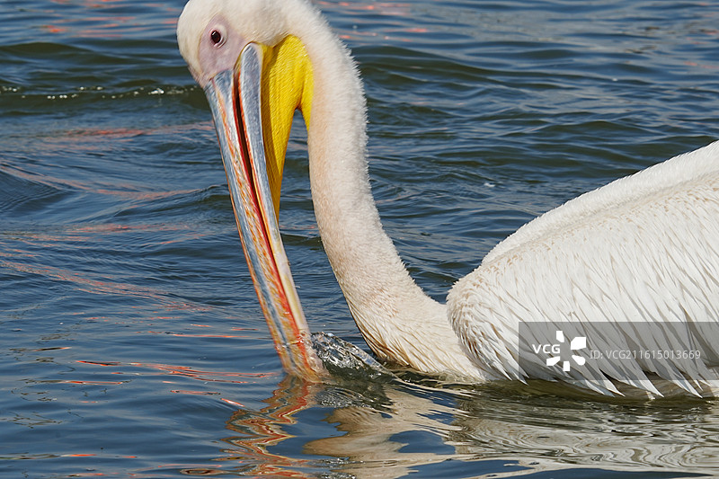 纳库鲁街景图片素材
