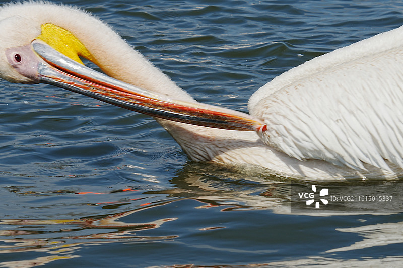 纳库鲁街景图片素材