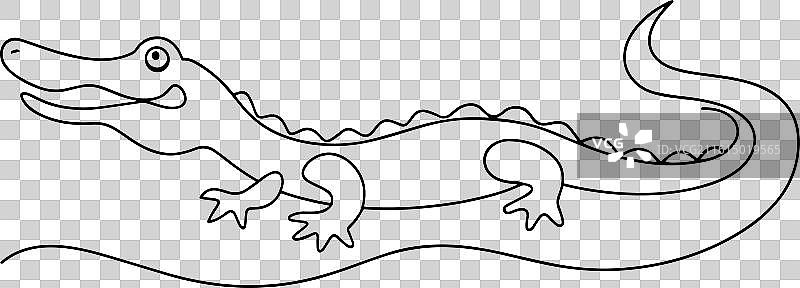 鳄鱼的单线画，白色背景图片素材