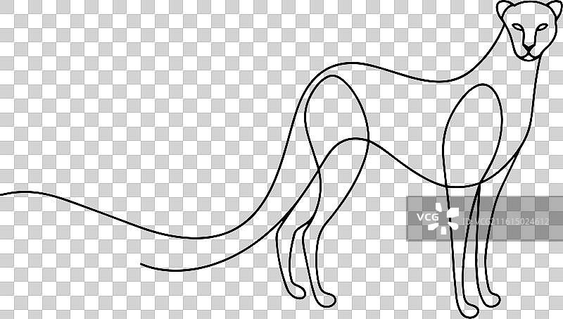 猎豹的连续线条艺术，白色背景图片素材