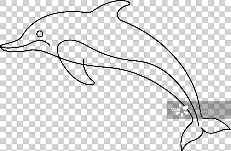 海豚的连续线条艺术，白色背景图片素材