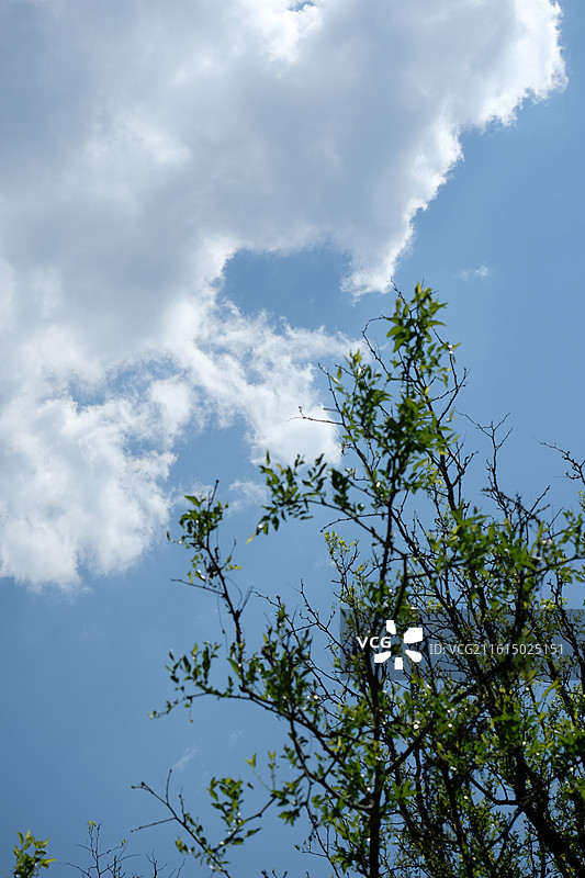 春天蓝天白云绿树高山远山清新风景背景图壁纸图片素材
