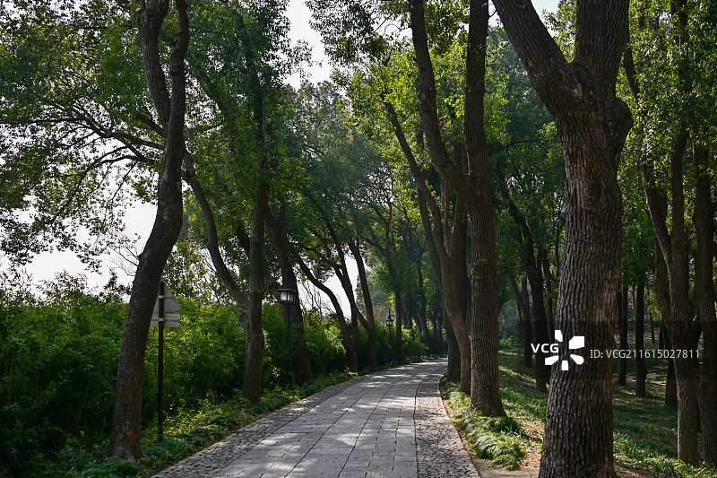 苏州虎丘美景图片素材