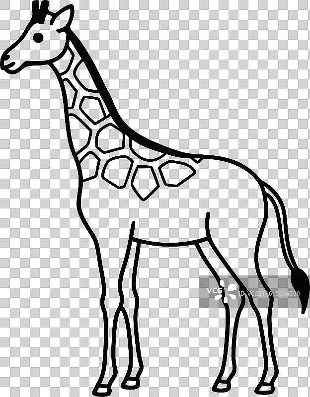 黑色的长颈鹿图片素材