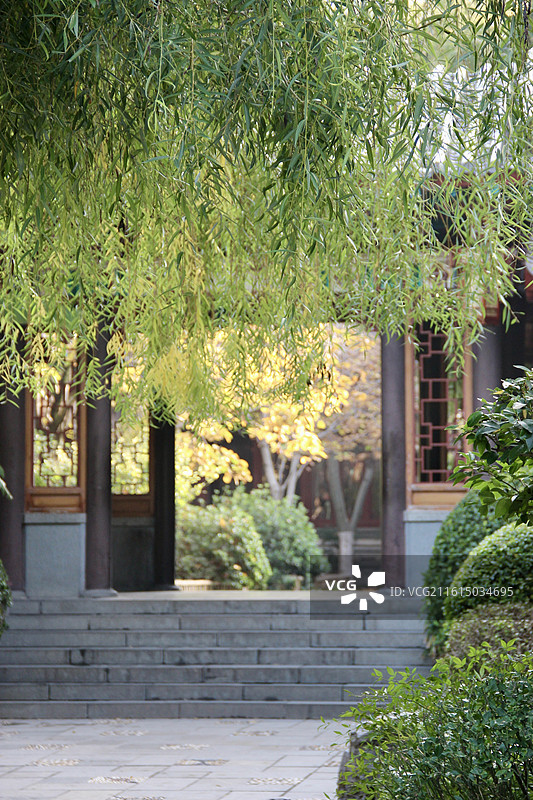 济南趵突泉公园自然风景图片素材