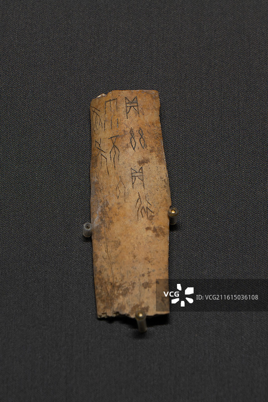 山东博物馆镇馆之宝商朝卜骨图片素材