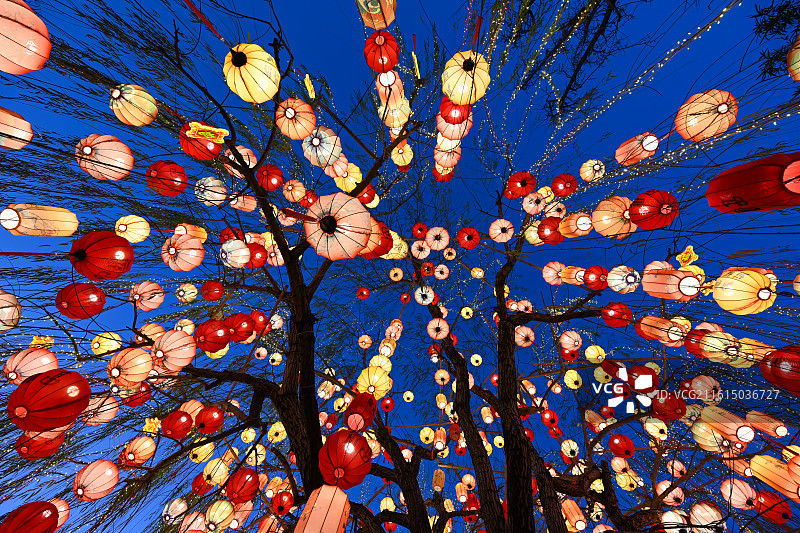 夜幕下的灯笼树：一场传统与现代交织的视觉盛宴图片素材