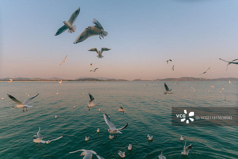 太湖仙岛冬日景观和风景图片素材