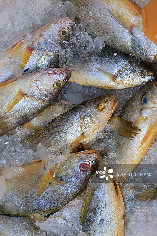 上海农贸市场蔬菜猪肉牛肉海鲜鱼水果腊肉鸡鸭炒货春节年货特写图片素材