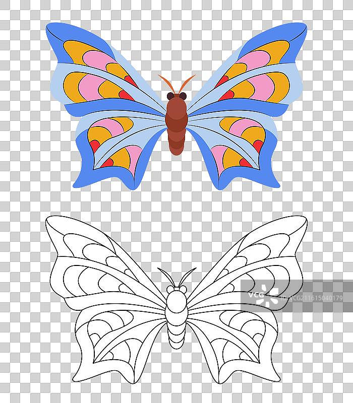 蝴蝶涂色页模板，多彩而生动图片素材