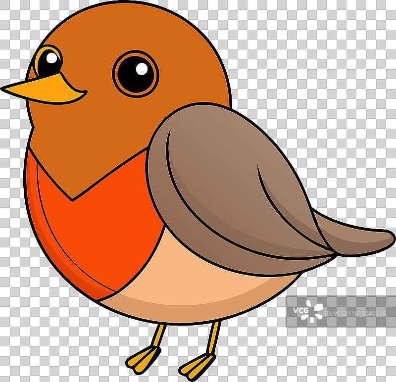 白底上的可爱知更鸟图片素材