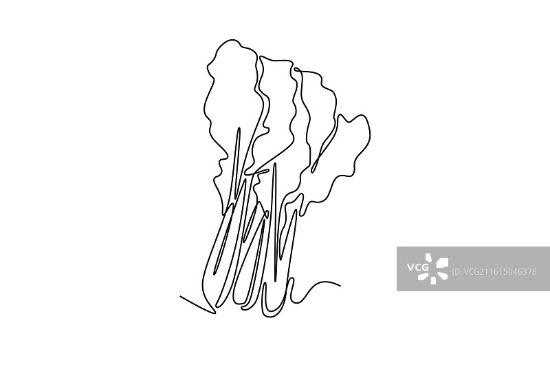 单条连续线描绘的完整健康的（事物）图片素材