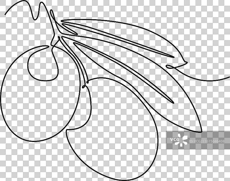 一堆健康事物的连续线条画图片素材