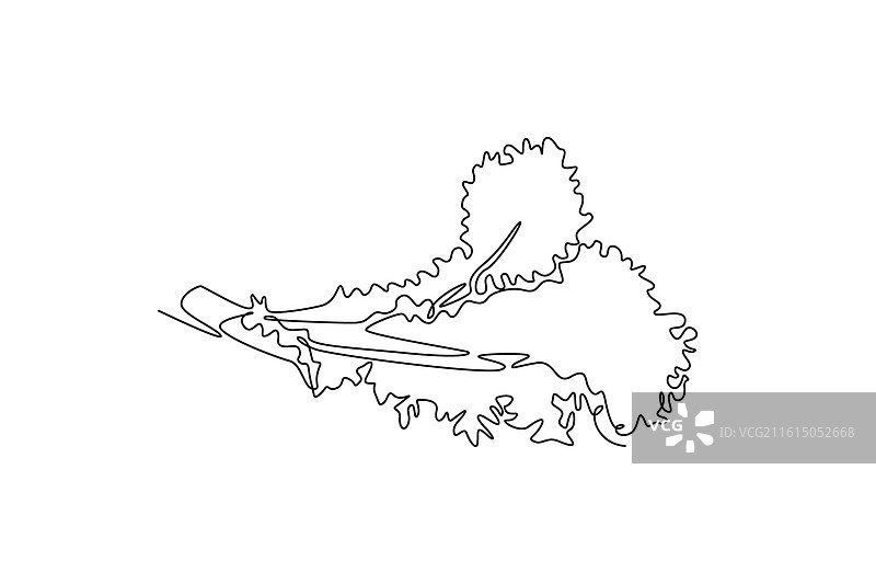 单线条绘制的健康有机绿色图片素材