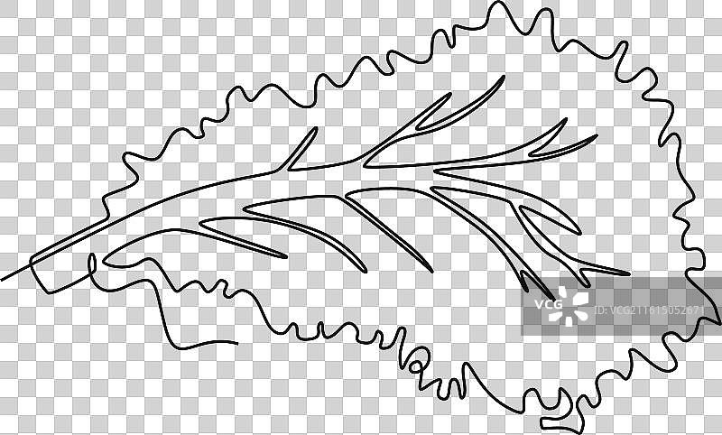 健康有机绿色的连续单线条画图片素材