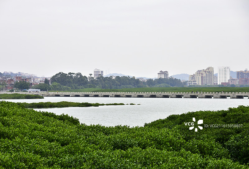 福建省泉州洛阳桥万安桥古桥石桥城市风光图片素材