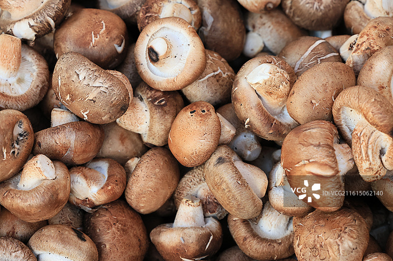 上海农贸市场蔬菜猪肉牛肉海鲜鱼水果腊肉鸡鸭炒货春节年货特写图片素材