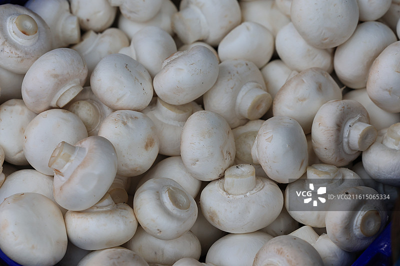 上海农贸市场蔬菜猪肉牛肉海鲜鱼水果腊肉鸡鸭炒货春节年货特写图片素材