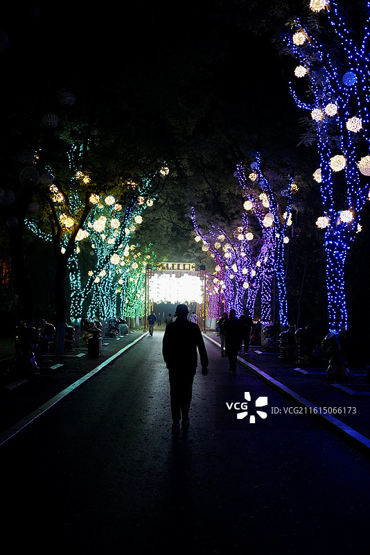 河北邯郸丛台公园夜景风光图片素材