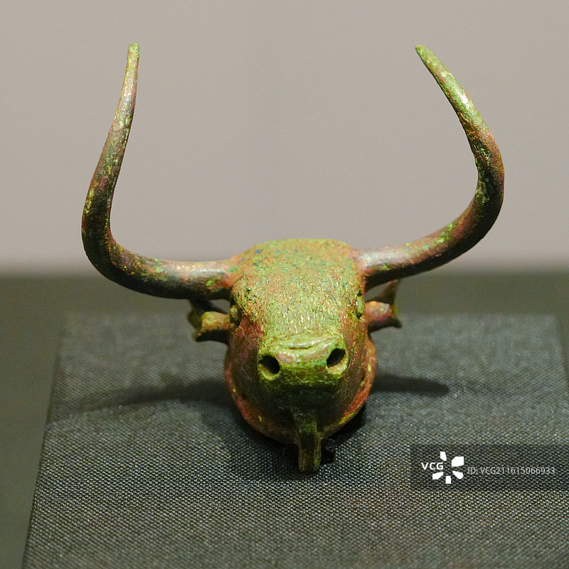 广西壮族自治区博物馆中国西南地区青铜文明特展西汉时期青铜牛头饰图片素材