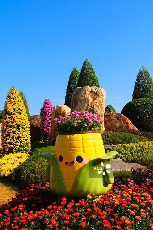 南宁市菊花展图片素材