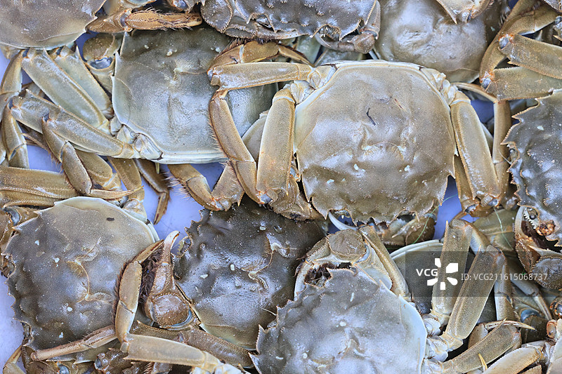 上海农贸市场蔬菜猪肉牛肉海鲜鱼水果腊肉鸡鸭炒货春节年货特写图片素材