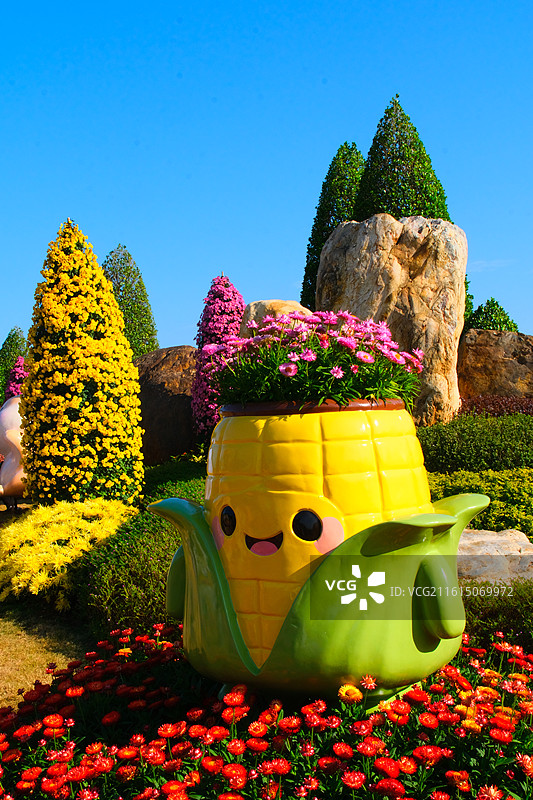 南宁市菊花展图片素材