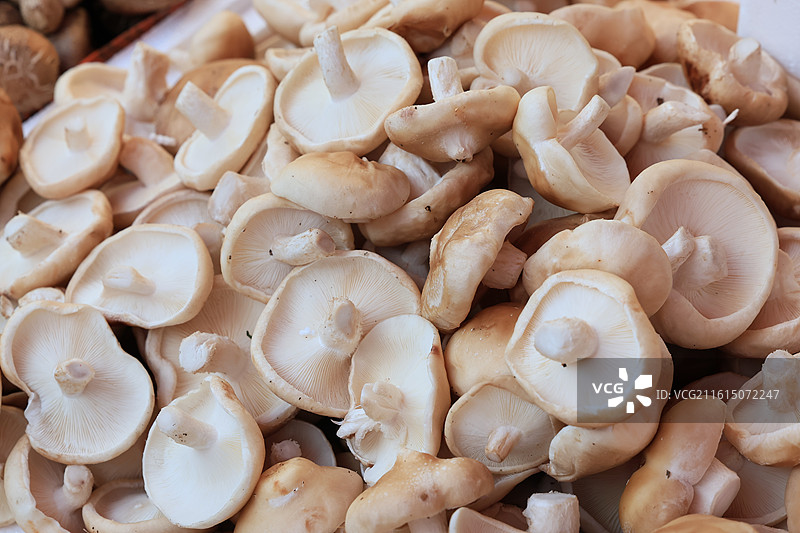 上海农贸市场蔬菜猪肉牛肉海鲜鱼水果腊肉鸡鸭炒货春节年货特写图片素材