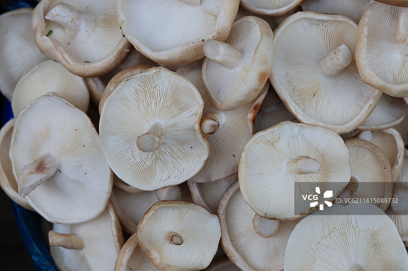 上海农贸市场蔬菜猪肉牛肉海鲜鱼水果腊肉鸡鸭炒货春节年货特写图片素材