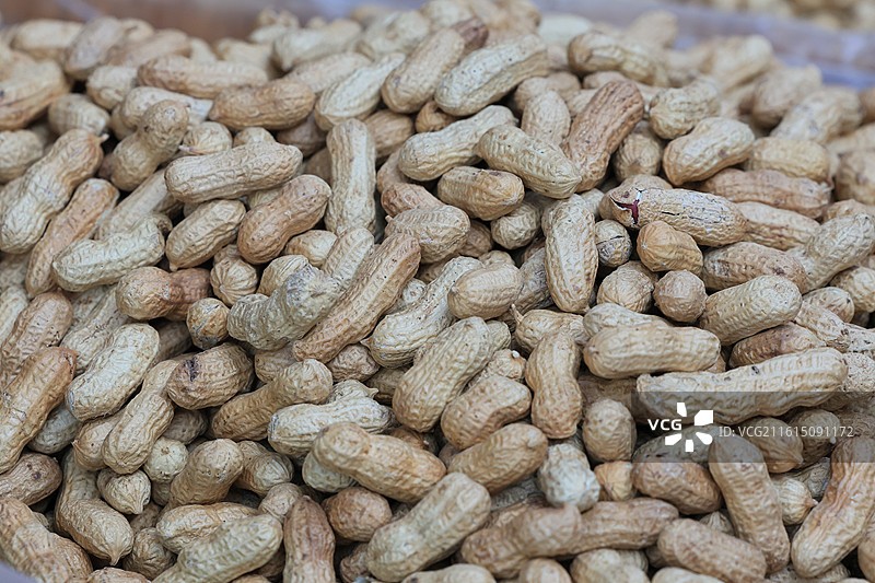 上海农贸市场蔬菜猪肉牛肉海鲜鱼水果腊肉鸡鸭炒货春节年货特写图片素材