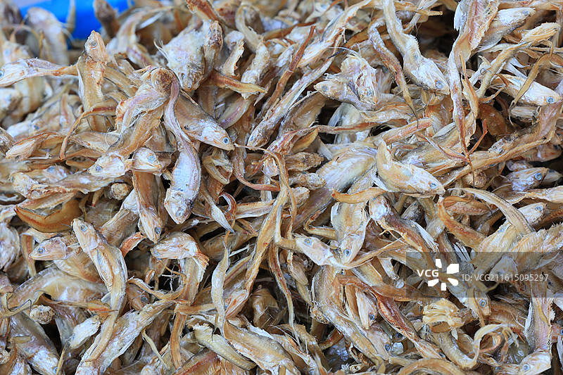 上海农贸市场蔬菜猪肉牛肉海鲜鱼水果腊肉鸡鸭炒货春节年货特写图片素材