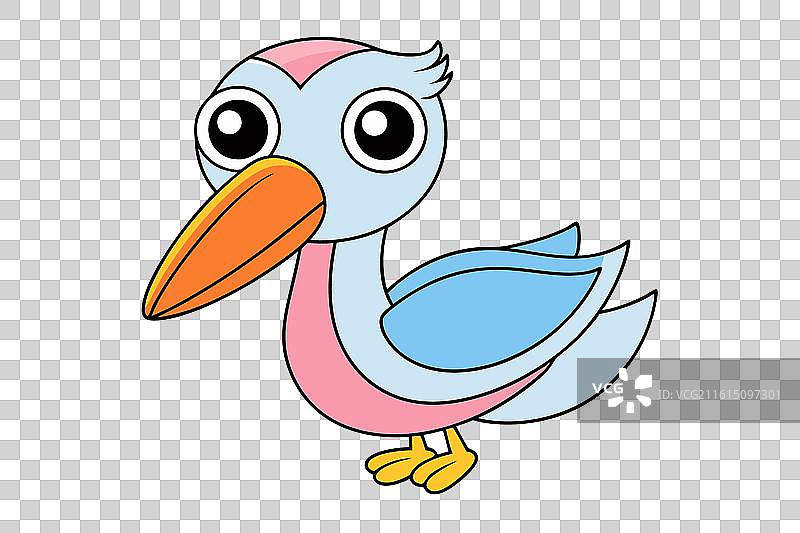 可爱的鹈鹕图片素材