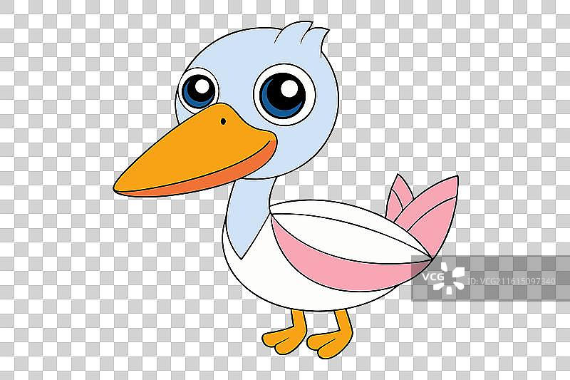 可爱的鹈鹕图片素材