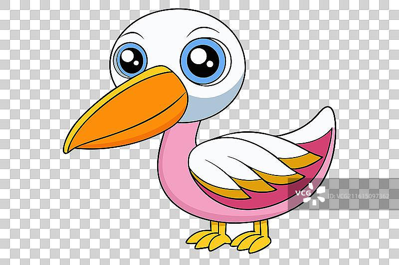 可爱的鹈鹕图片素材