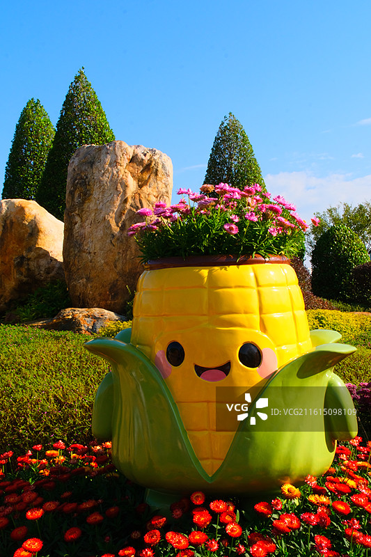 南宁市菊花展图片素材