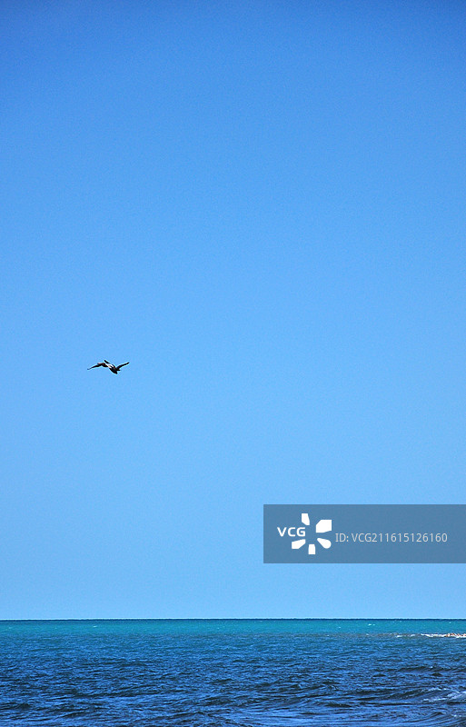 青海湖图片素材
