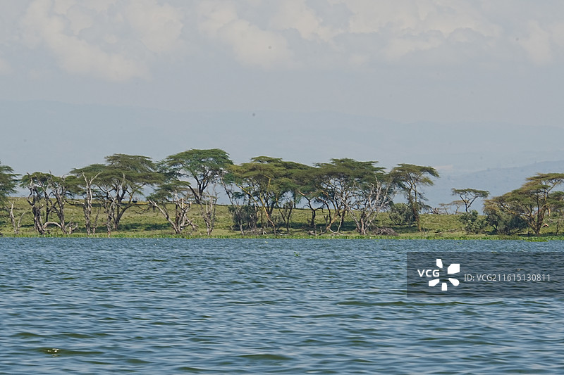 纳库鲁街景图片素材